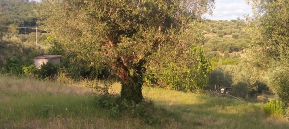 Grundstück in Magione, Italy 1000m², Nr. 179329 24