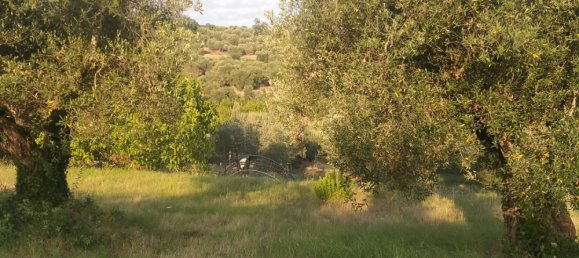 Grundstück in Magione, Italy 1000m², Nr. 179329 23