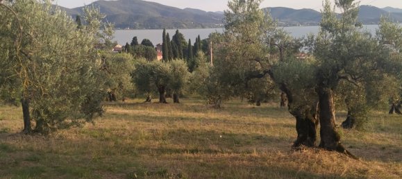 Grundstück in Magione, Italy 1000m², Nr. 179329 7