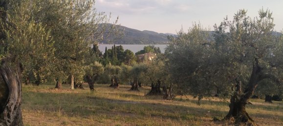 Grundstück in Magione, Italy 1000m², Nr. 179329 5