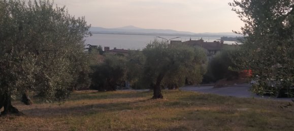 Grundstück in Magione, Italy 1000m², Nr. 179329 8