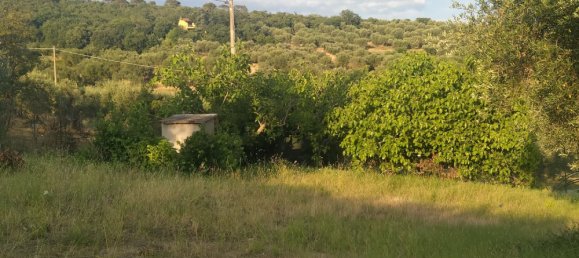 Grundstück in Magione, Italy 1000m², Nr. 179329 25