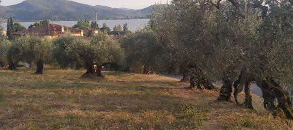 Grundstück in Magione, Italy 1000m², Nr. 179329 26