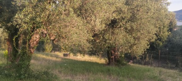 Grundstück in Magione, Italy 1000m², Nr. 179329 21