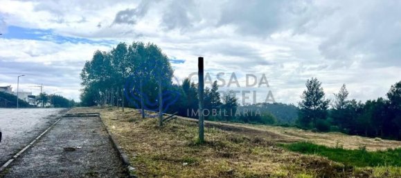 Grundstück in Oliveira de Azemeis, Portugal 5173m², Nr. 61726 20