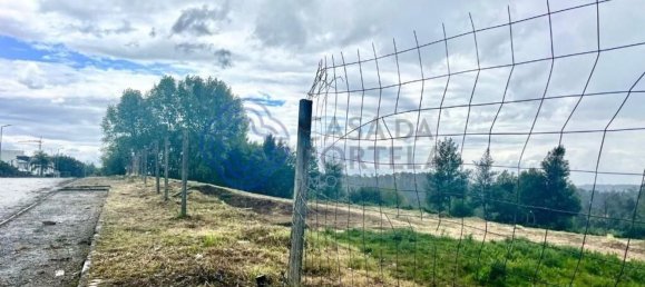 Grundstück in Oliveira de Azemeis, Portugal 5173m², Nr. 61726 18