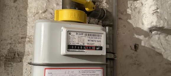 Таунхаус с 3 комнатами в Зале, Германия № 33810 23