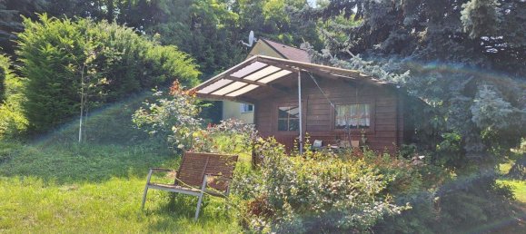 3 rooms Bungalow in Traismauer, Austria No. 245212 6