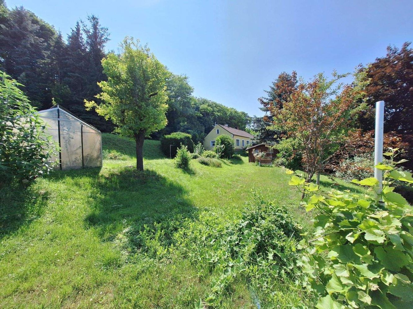 3 rooms Bungalow in Traismauer, Austria No. 245212