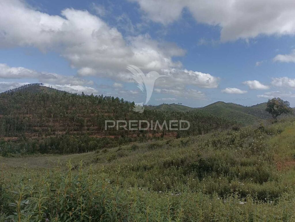 9320m² Land in Marmelete, Portugal No. 56053