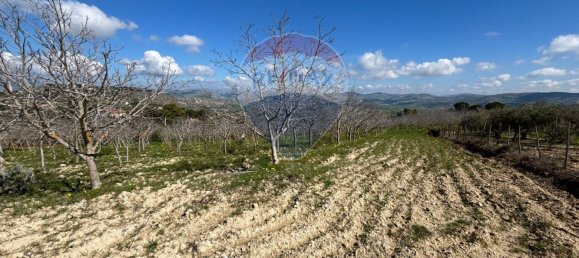 18000m² Land in Aragona, Italy No. 56981 4