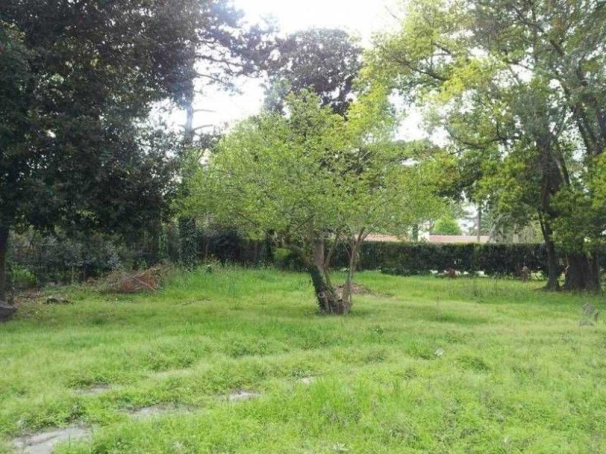  Land in Vicente Lopez, Argentina No. 36775