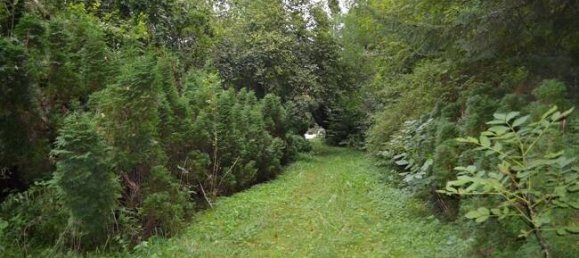 Terreno en Landsberg am Lech, Germany No. 142628 2