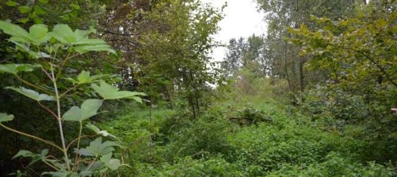 Terreno en Landsberg am Lech, Germany No. 142628 8