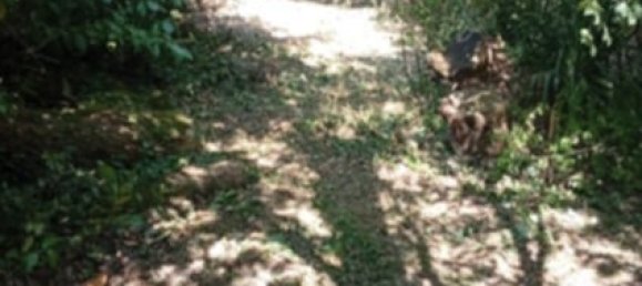  Land in Saint-Maur-sur-le-Loir, France No. 63217 5