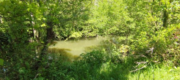  Land in Saint-Maur-sur-le-Loir, France No. 63217 4