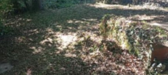  Land in Saint-Maur-sur-le-Loir, France No. 63217 6