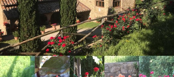 5 bedrooms Villa in Gaiole in Chianti, Italy No. 132251 5