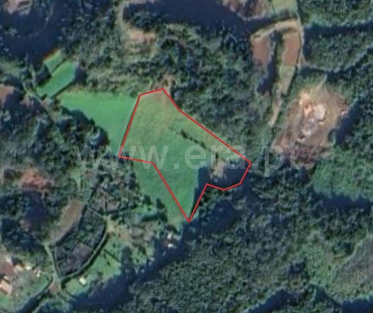  Land in Madalena, Portugal No. 216723