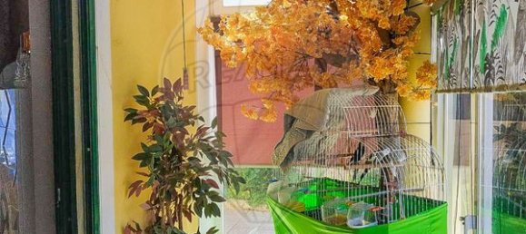 Villa de 4 dormitorios en Ericeira, Portugal No. 182397 19