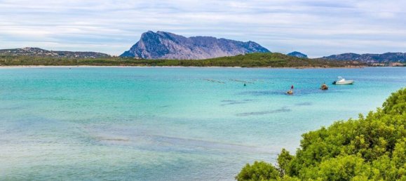 2 rooms House in Loiri Porto San Paolo, Italy No. 286974 2