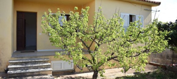 2 rooms House in Loiri Porto San Paolo, Italy No. 286974 28