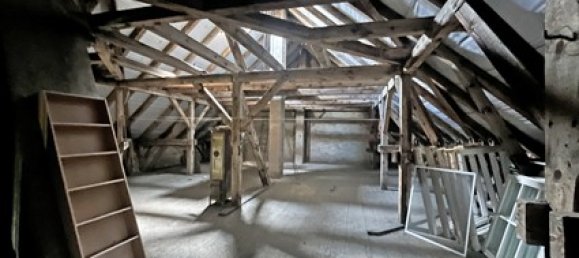 Gebäude in Elbe-Elster, Germany 1000m², Nr. 40118 12