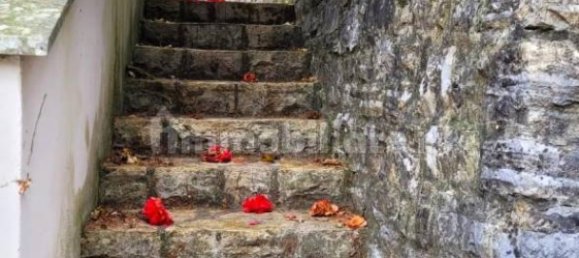 4 bedrooms Villa in Camaiore, Italy No. 73706 49