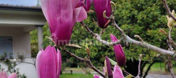 4 bedrooms Villa in Camaiore, Italy No. 73706 48