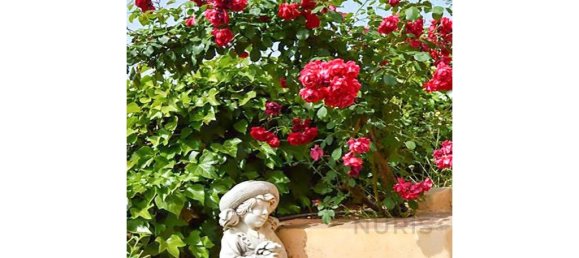 6 chambres Châteaux à Silves, Portugal No. 129271 12