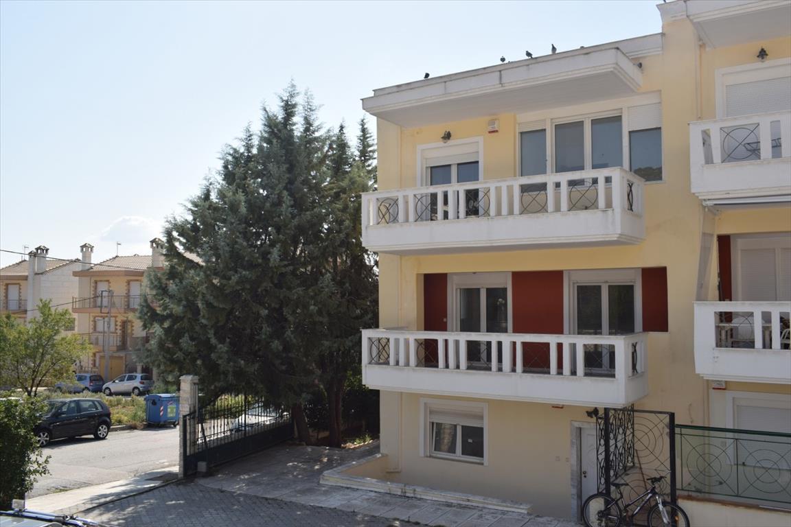 5 bedrooms Property for sale in Oraiokastro, Thessaloniki, Central Macedonia, Macedonia and Thrace, Greece № 6050