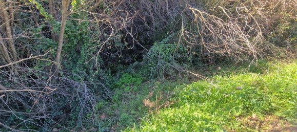  قطعة أرض في Mijas, Spain 4728متر مربع رقم 107451 5