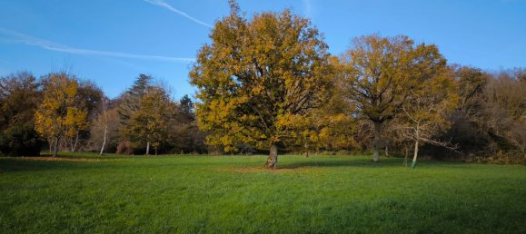4 chambres Maison à Gron, France No. 157862 3