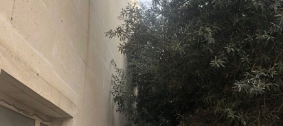 Casa en Baku, Azerbaijan 430 m² No. 210 18