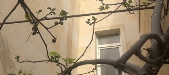 Casa en Baku, Azerbaijan 430 m² No. 210 16