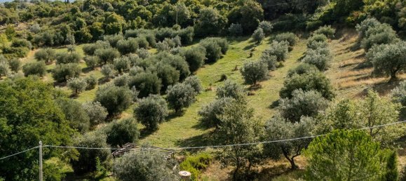 6 Schlafzimmer Haus in Scansano, Italy, Nr. 390838 13