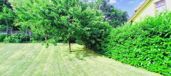 1001m² Land in Vienna, Austria No. 159610 6