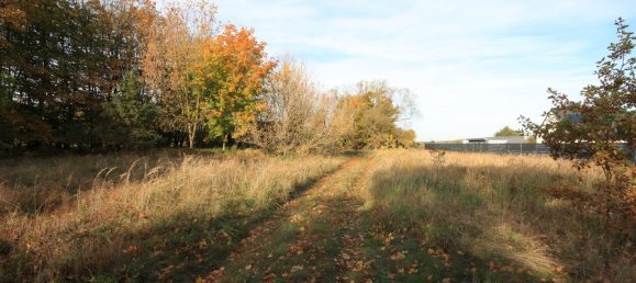 4-salle Maison à Oberhavel, Germany No. 76740 14