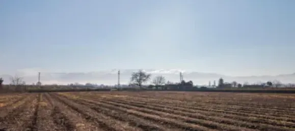 Terrain à Granada, Spain No. 181250 3