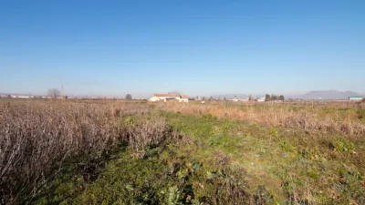 Terrain à Granada, Spain No. 181250
