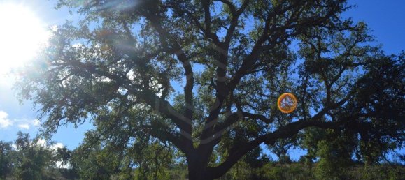 Grundstück in Almodovar, Portugal 846325m², Nr. 332473 44