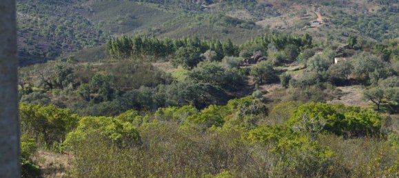 Grundstück in Almodovar, Portugal 846325m², Nr. 332473 3