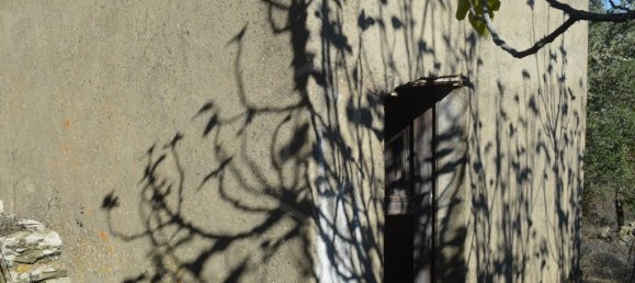 Grundstück in Almodovar, Portugal 846325m², Nr. 332473 13