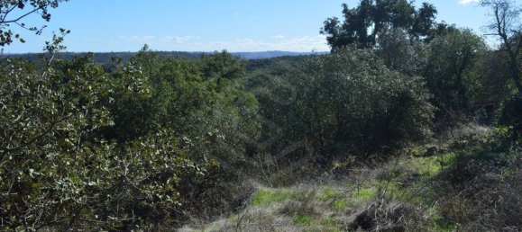 Grundstück in Almodovar, Portugal 846325m², Nr. 332473 18