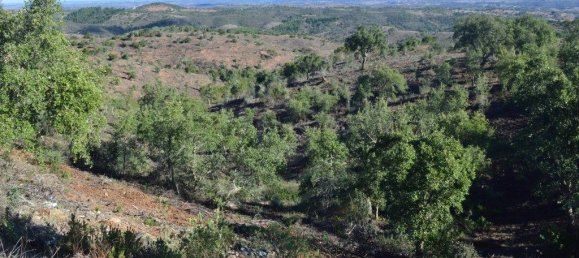 Grundstück in Almodovar, Portugal 846325m², Nr. 332473 20