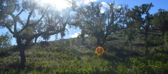 Grundstück in Almodovar, Portugal 846325m², Nr. 332473 45