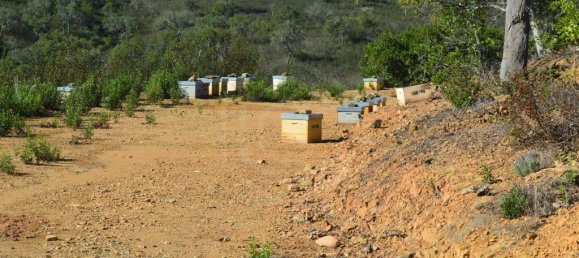 Grundstück in Almodovar, Portugal 846325m², Nr. 332473 6