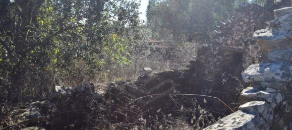 Grundstück in Almodovar, Portugal 846325m², Nr. 332473 19