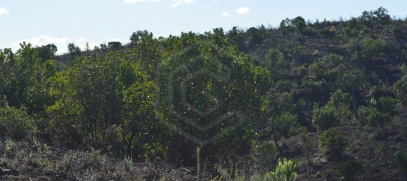 Grundstück in Almodovar, Portugal 846325m², Nr. 332473 26