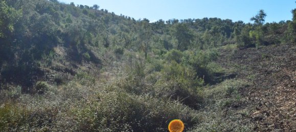 Grundstück in Almodovar, Portugal 846325m², Nr. 332473 37